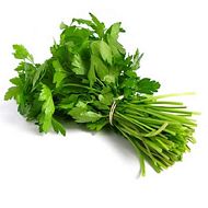 Dhaniya gaddi - Coriander Bunch